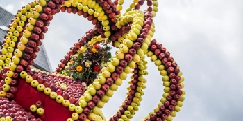 Festa della Mela