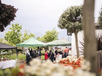 Inser Markt'l in Dorf Tirol