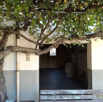 Eppan Humor: Gasthaustheater -Sektbrunch der Weinwelt Girlan