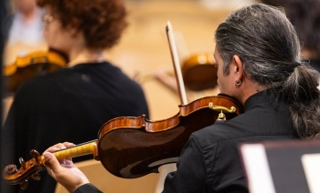 Timeless Sounds - Ensemble di archi dell'orchestra Haydn