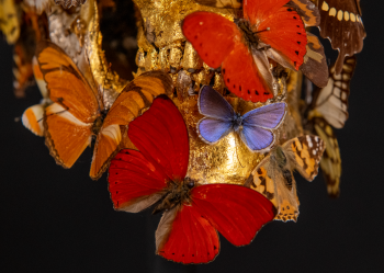 Harald Kastlunger. Instituizione - Composizione