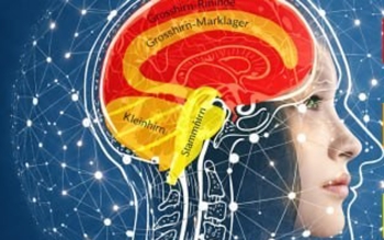 Die 5 biologischen Naturgesetze