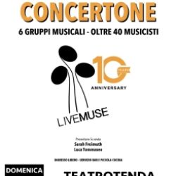 Live Muse - Concertone
