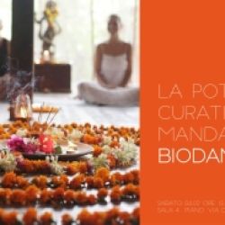 La potenza curativa del Mandala in Biodanza