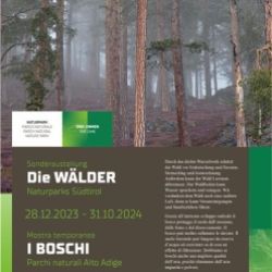 Naturparks Südtirol – Die Wälder