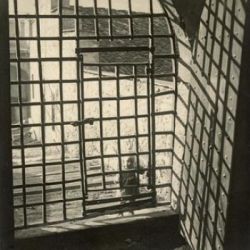 Sergio Perdomi (1887-1935). Il fotografo della Venezia Tride
