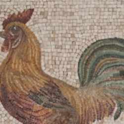 Laboratorio per famiglie: 